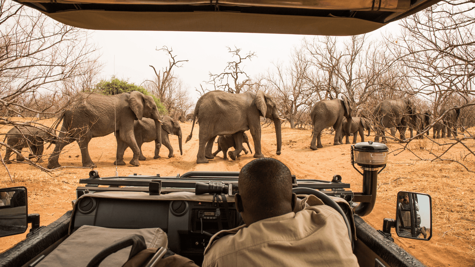 Best African safaris