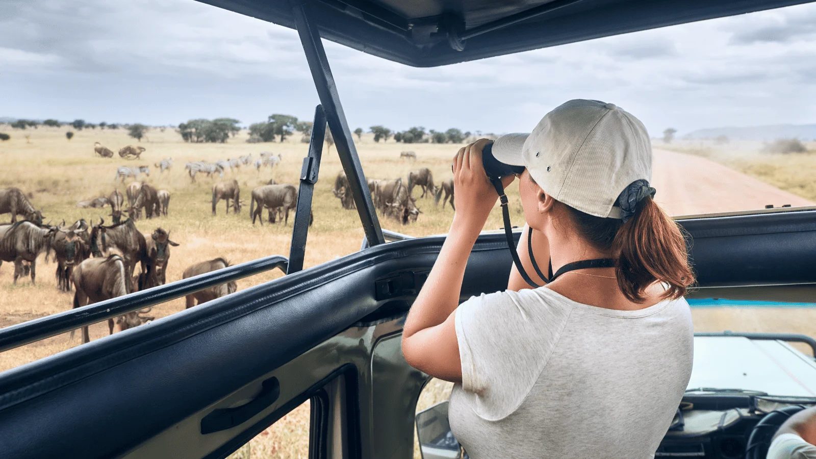 Best African safaris