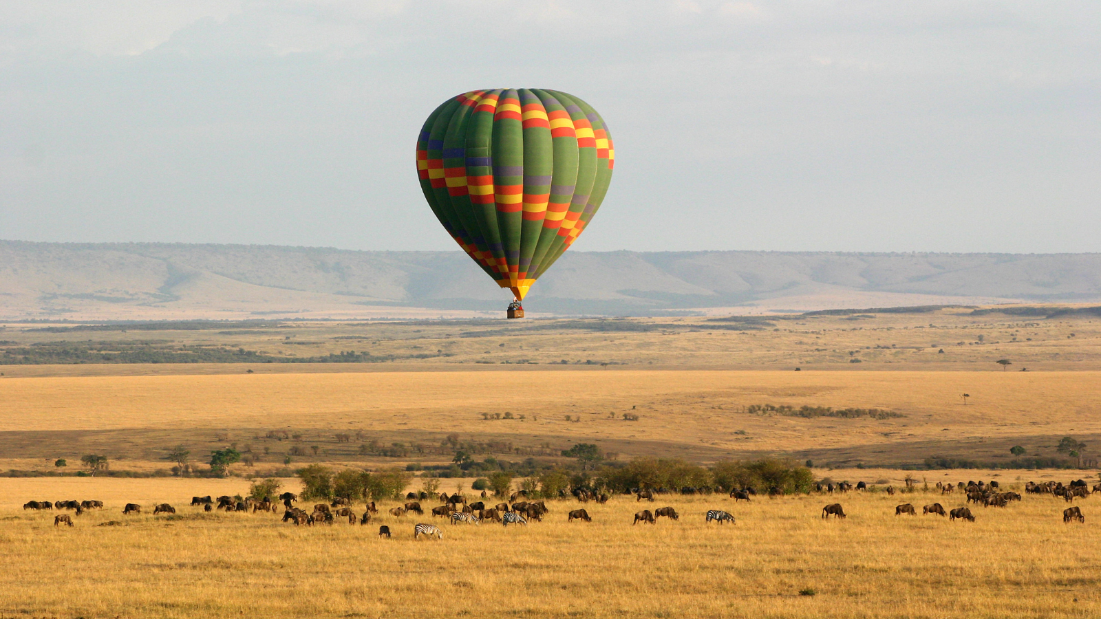 Best African safaris