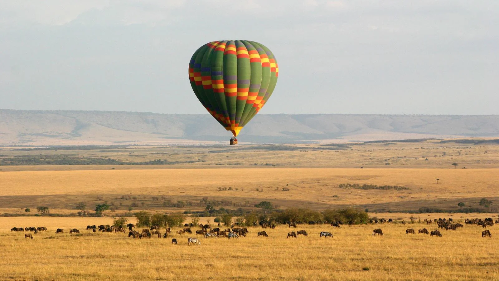 Best African safaris