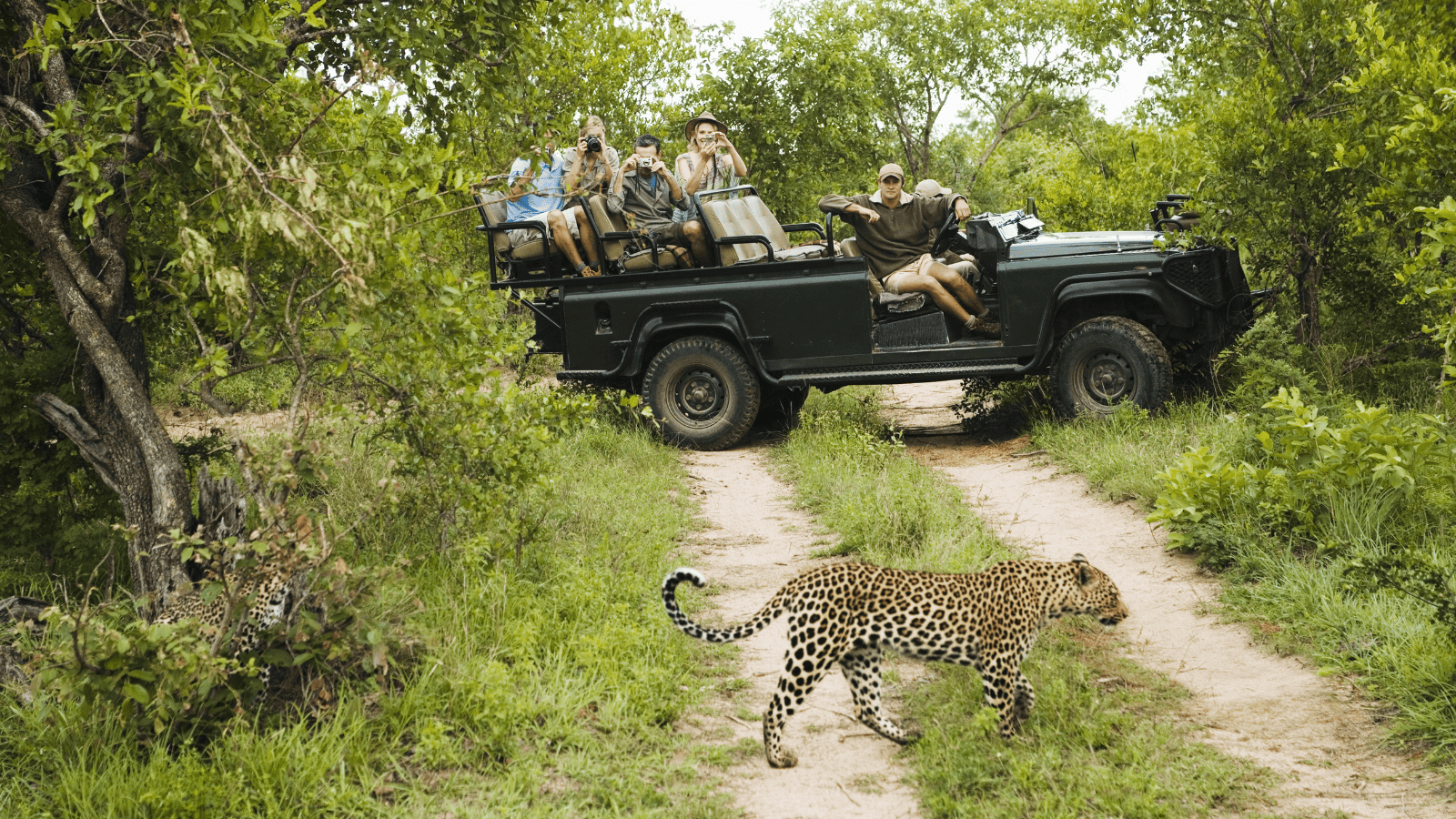 Best African safaris