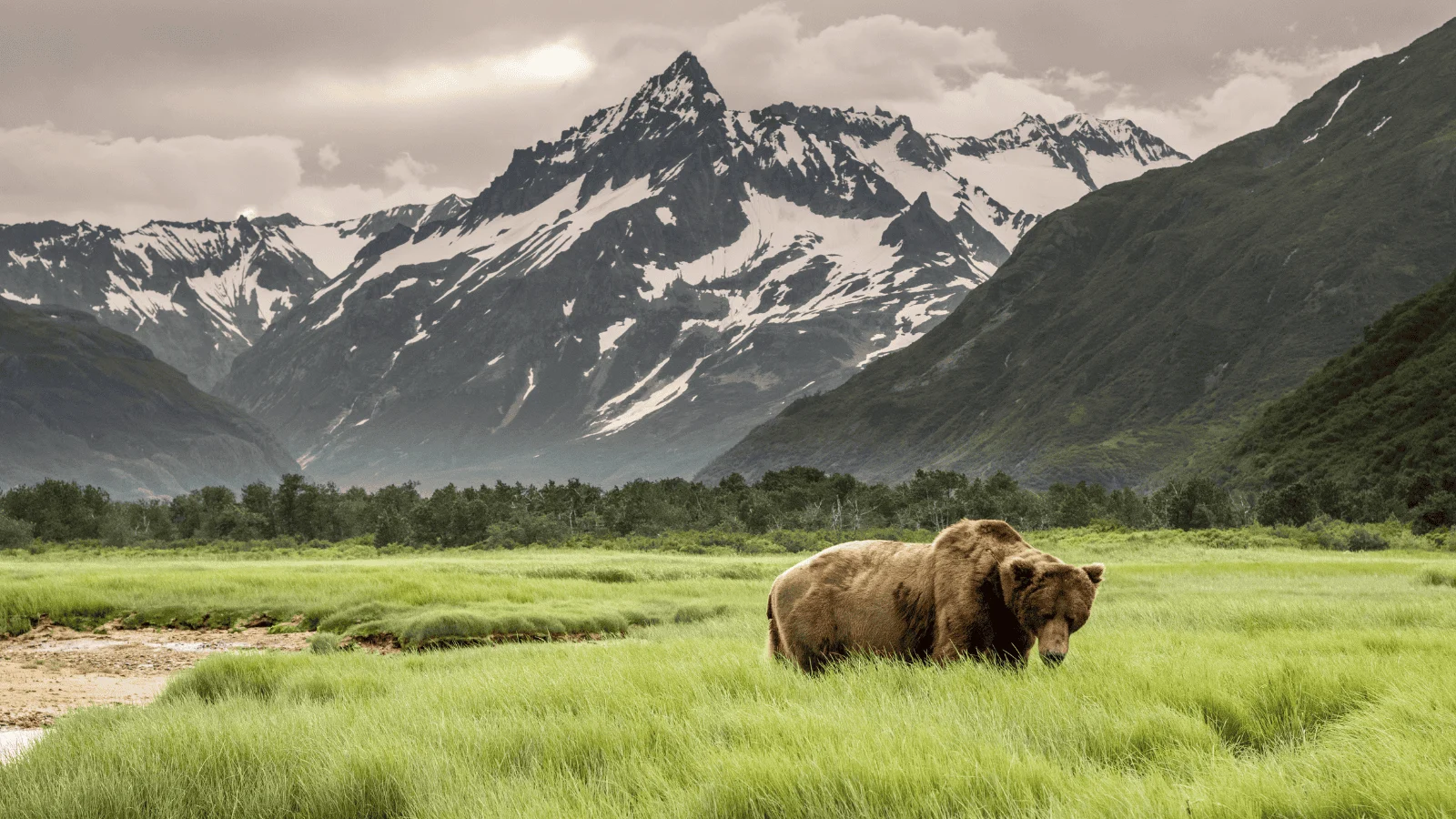 Epic Alaskan cruises