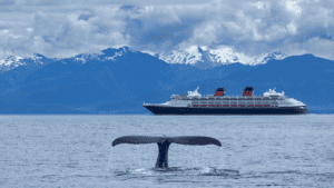 13 EPIC Alaskan Cruises to Set Sail On Before Turning 60