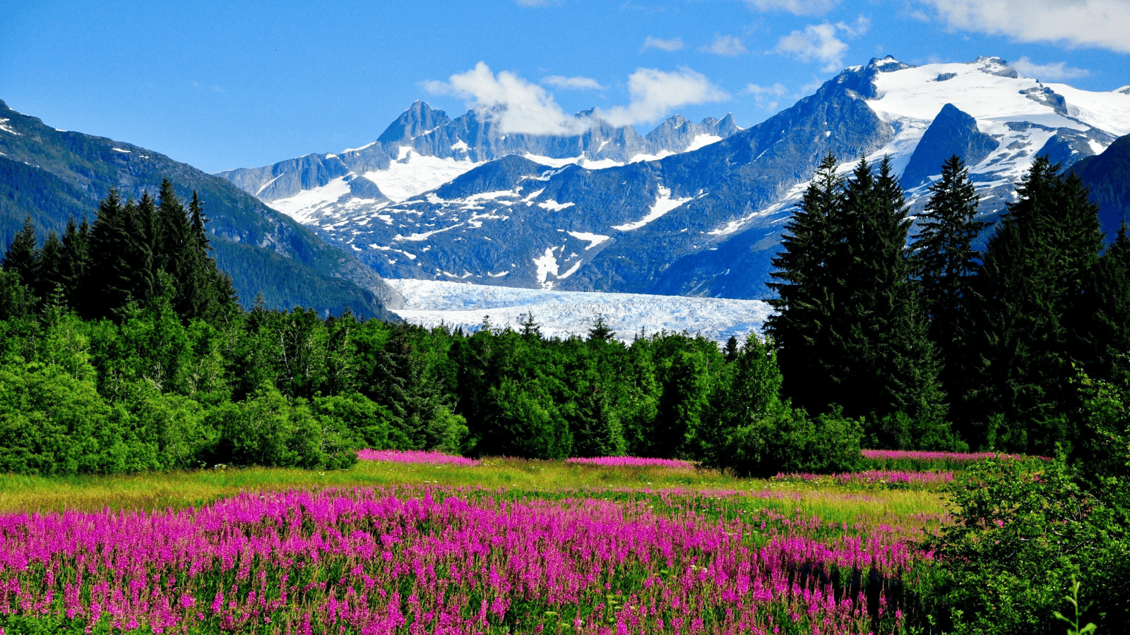 Epic Alaskan cruises