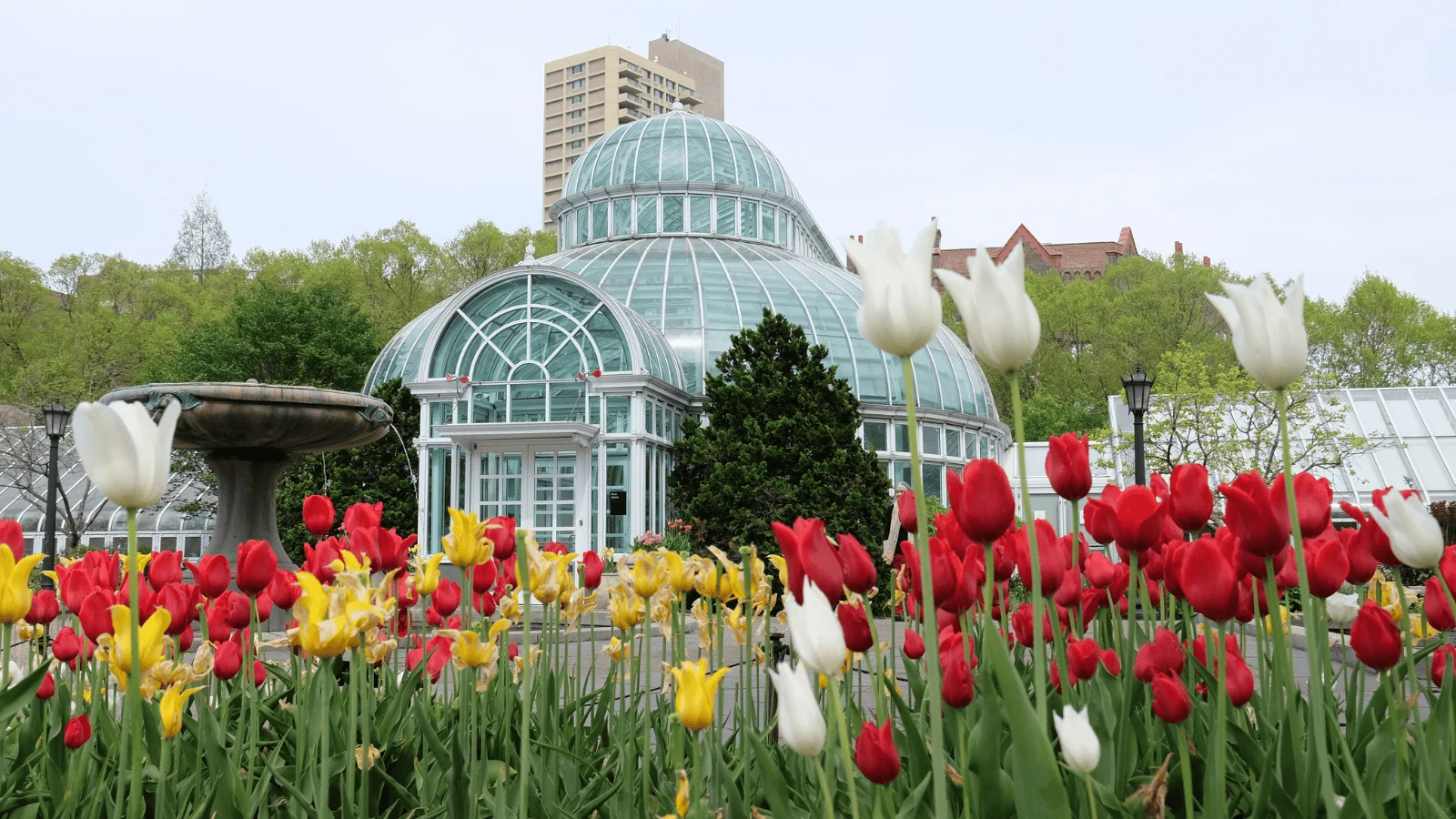 Picturesque US botanical gardens