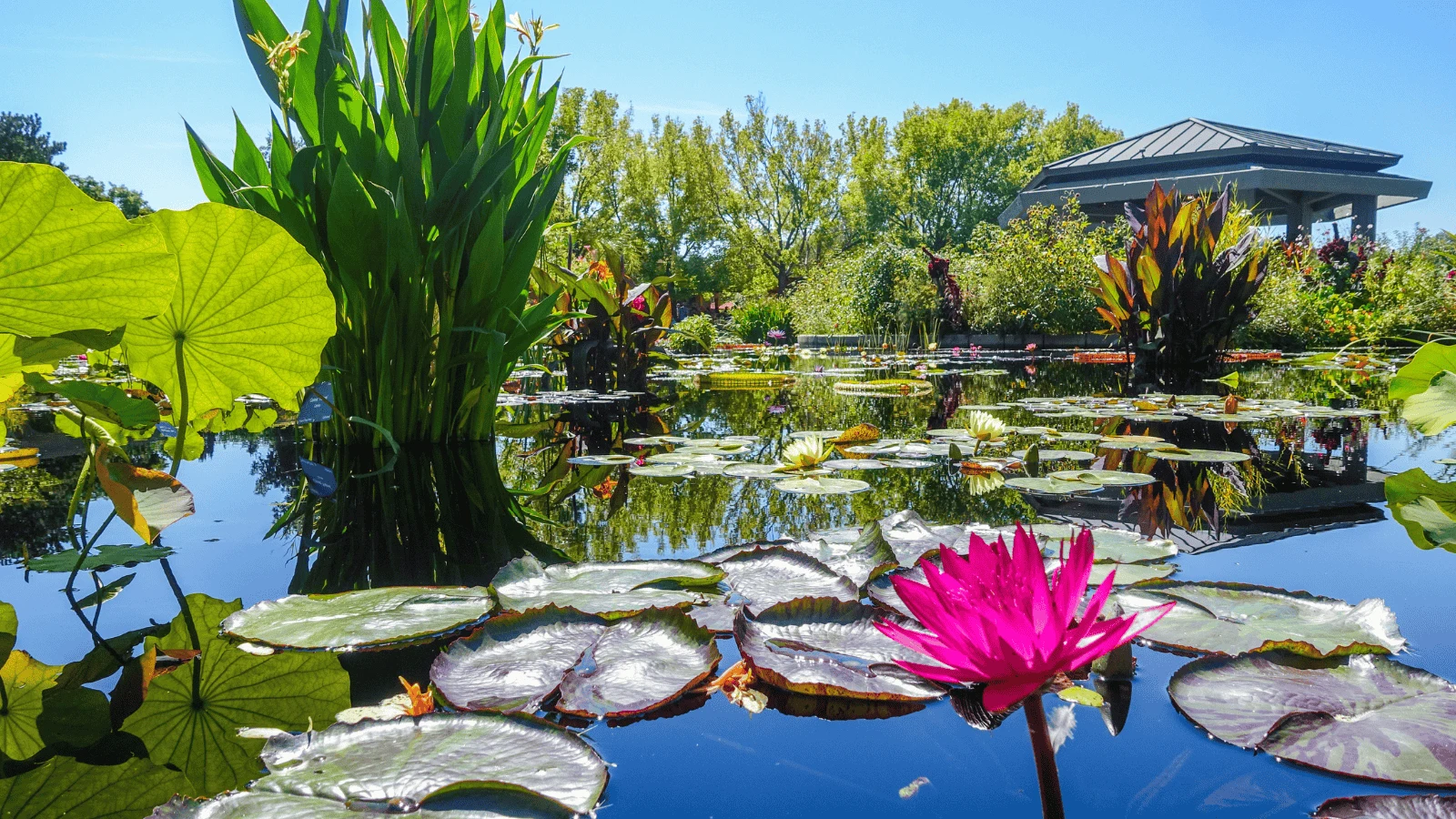 Picturesque US botanical gardens