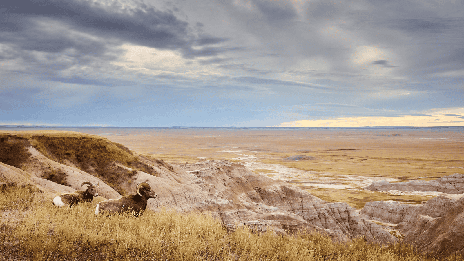 Accessible national parks