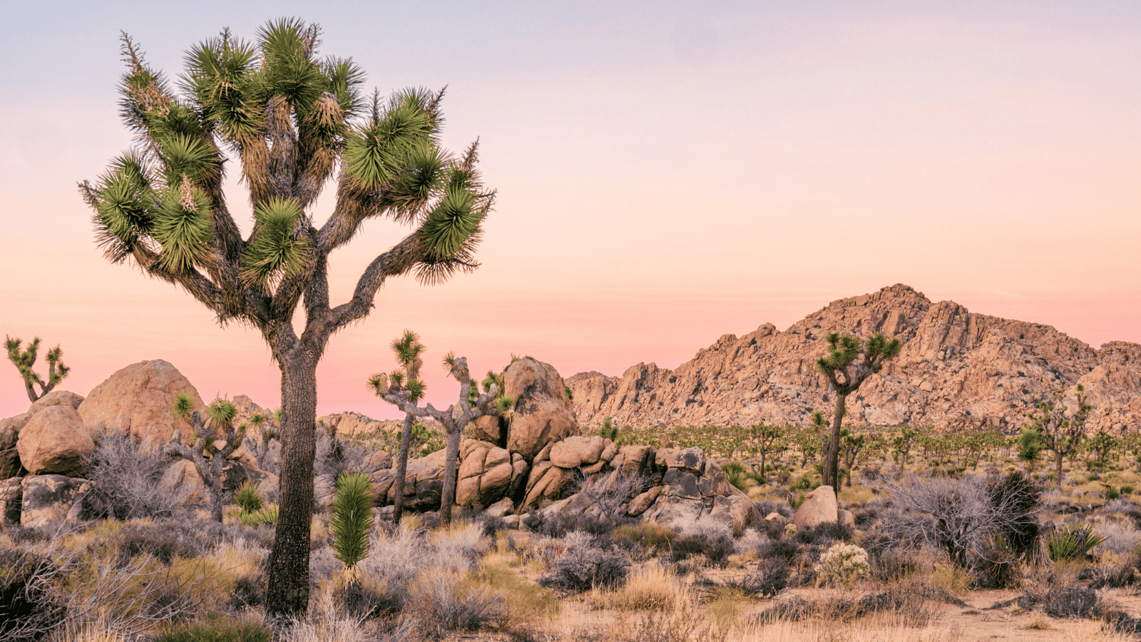 Accessible national parks