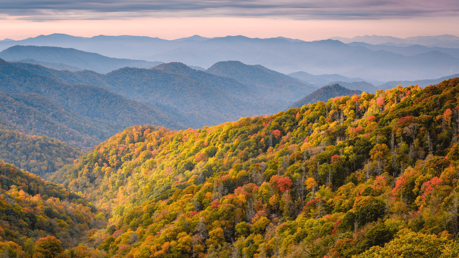 Accessible national parks