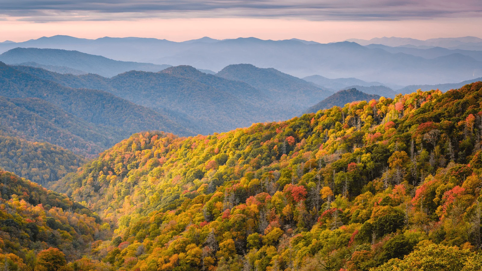 Accessible national parks