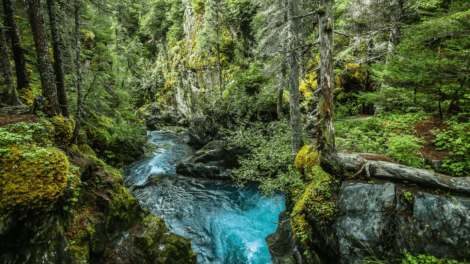 Hikes in Alaska