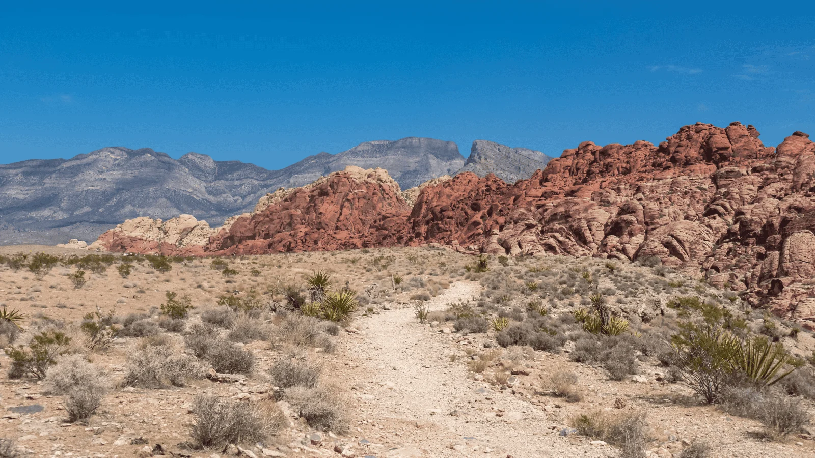 Hikes in the US