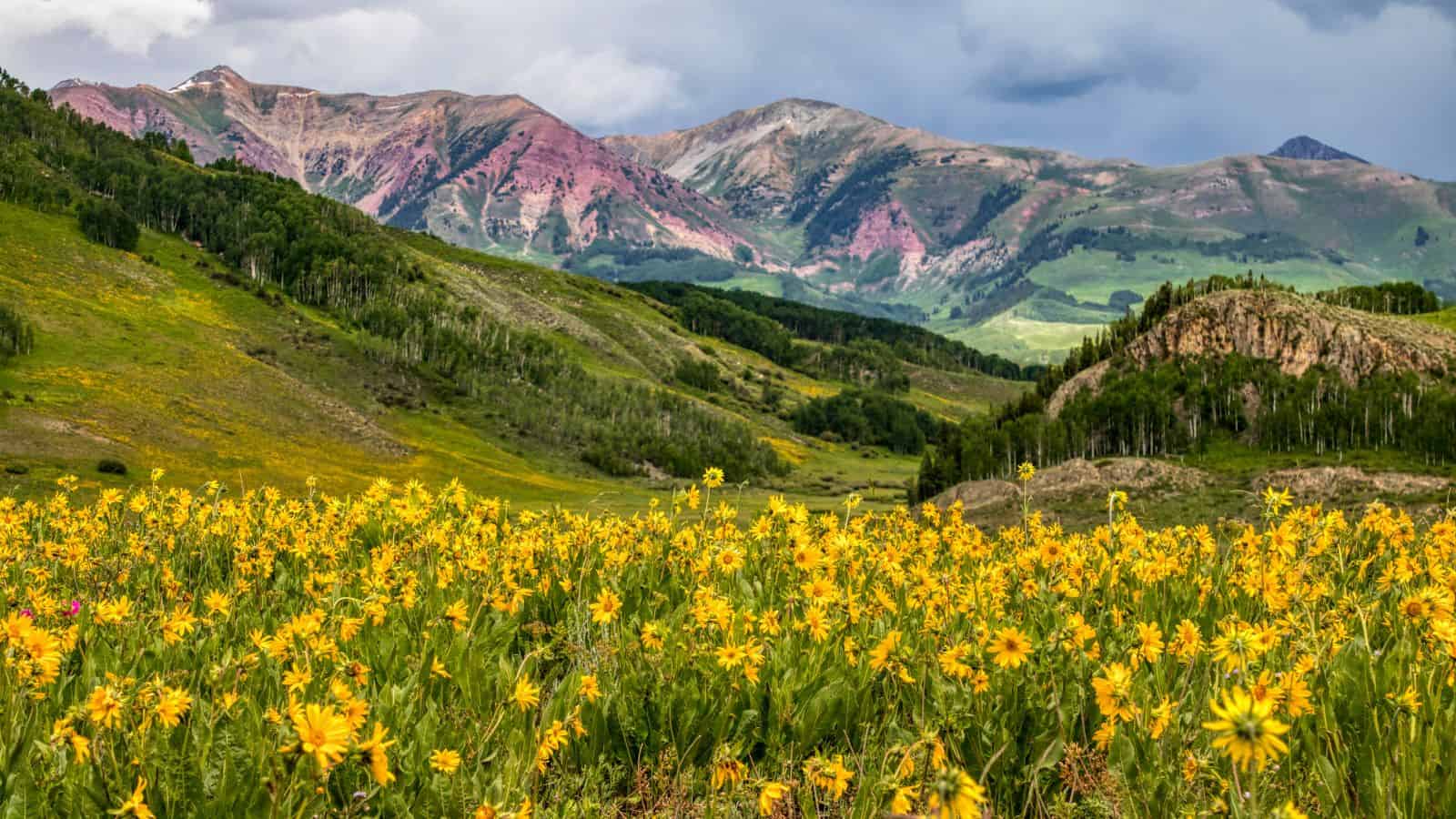 Best cities to visit in Colorado, by travel blogger What the Fab