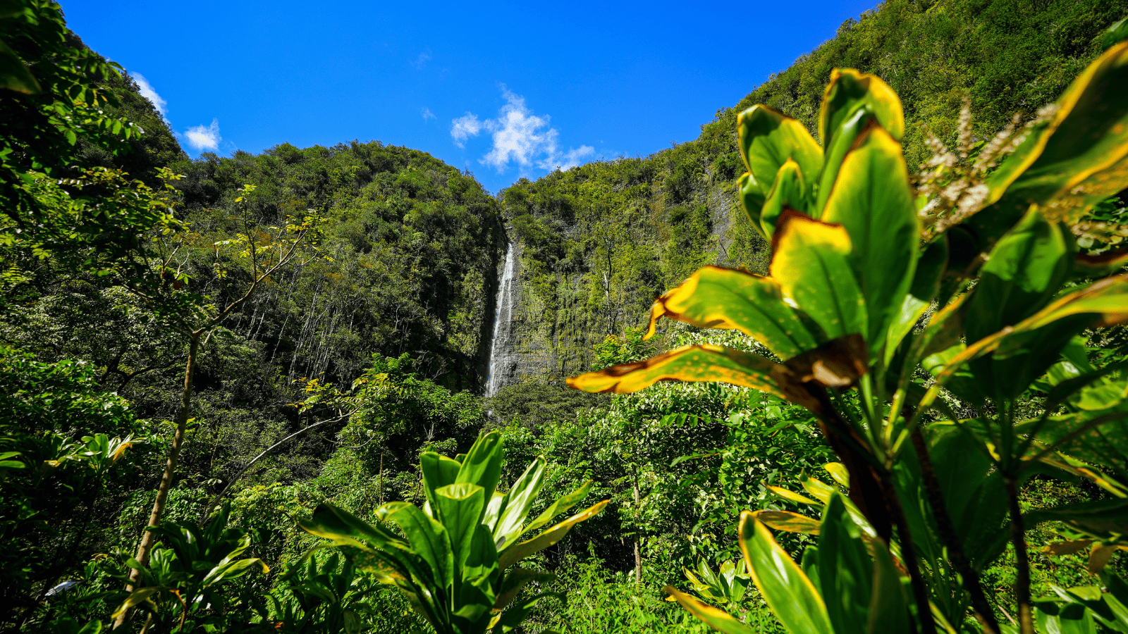 Underrated US hikes