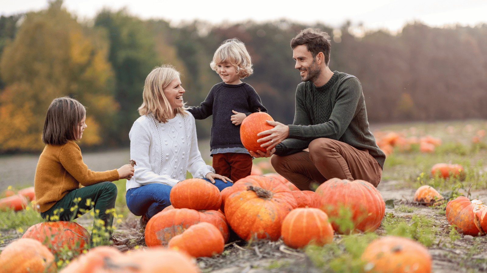 Pumpkin patch ripoffs