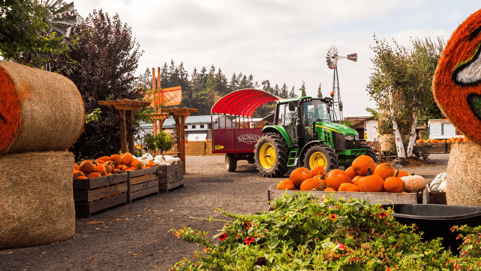 Pumpkin patch ripoffs