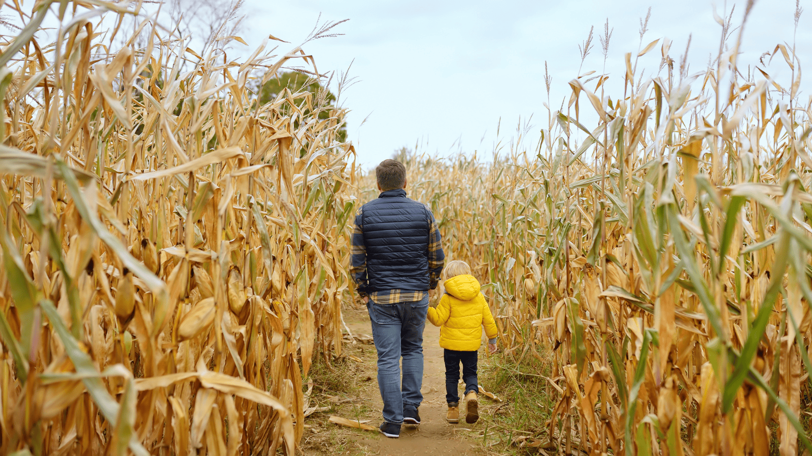 Pumpkin patch ripoffs