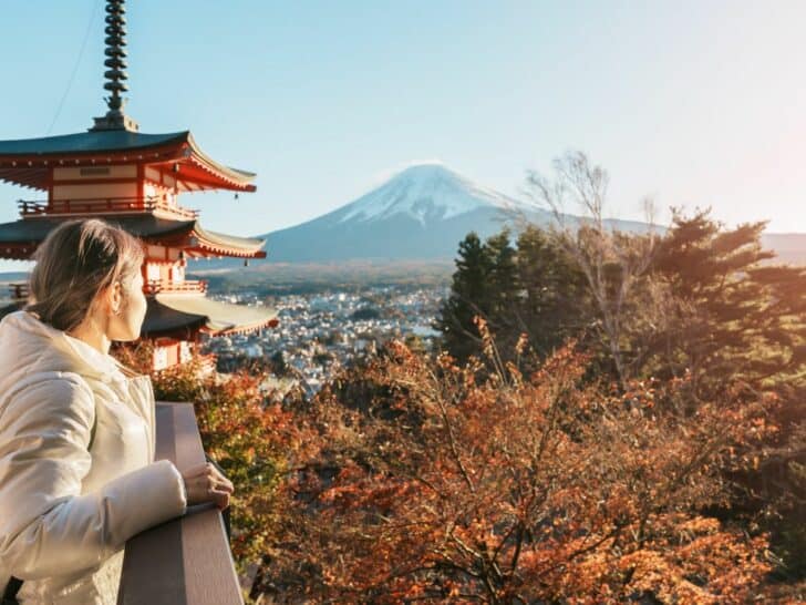 Reasons to reconsider visiting Japan, by travel blogger What the Fab