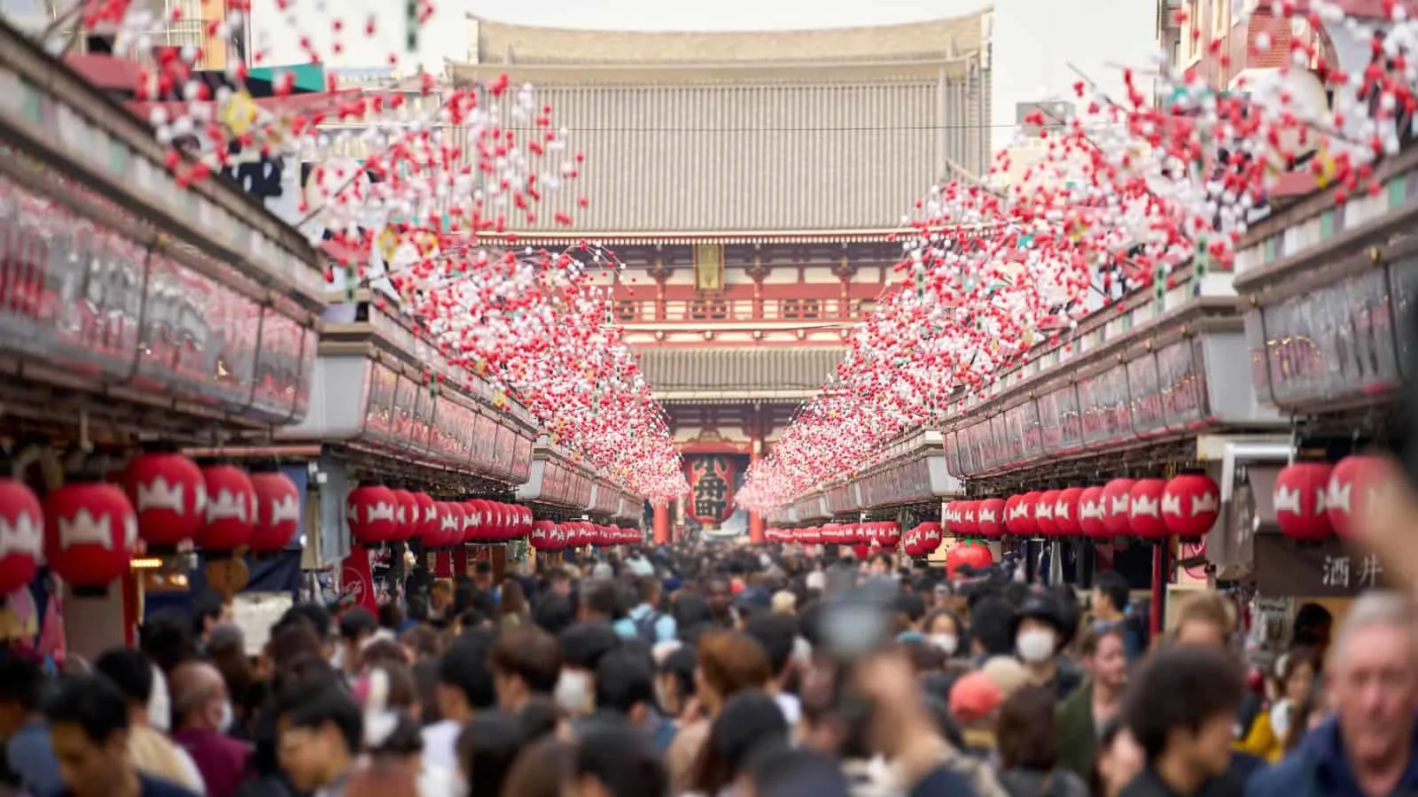 Underrated cities in Japan, by travel blogger What the Fab