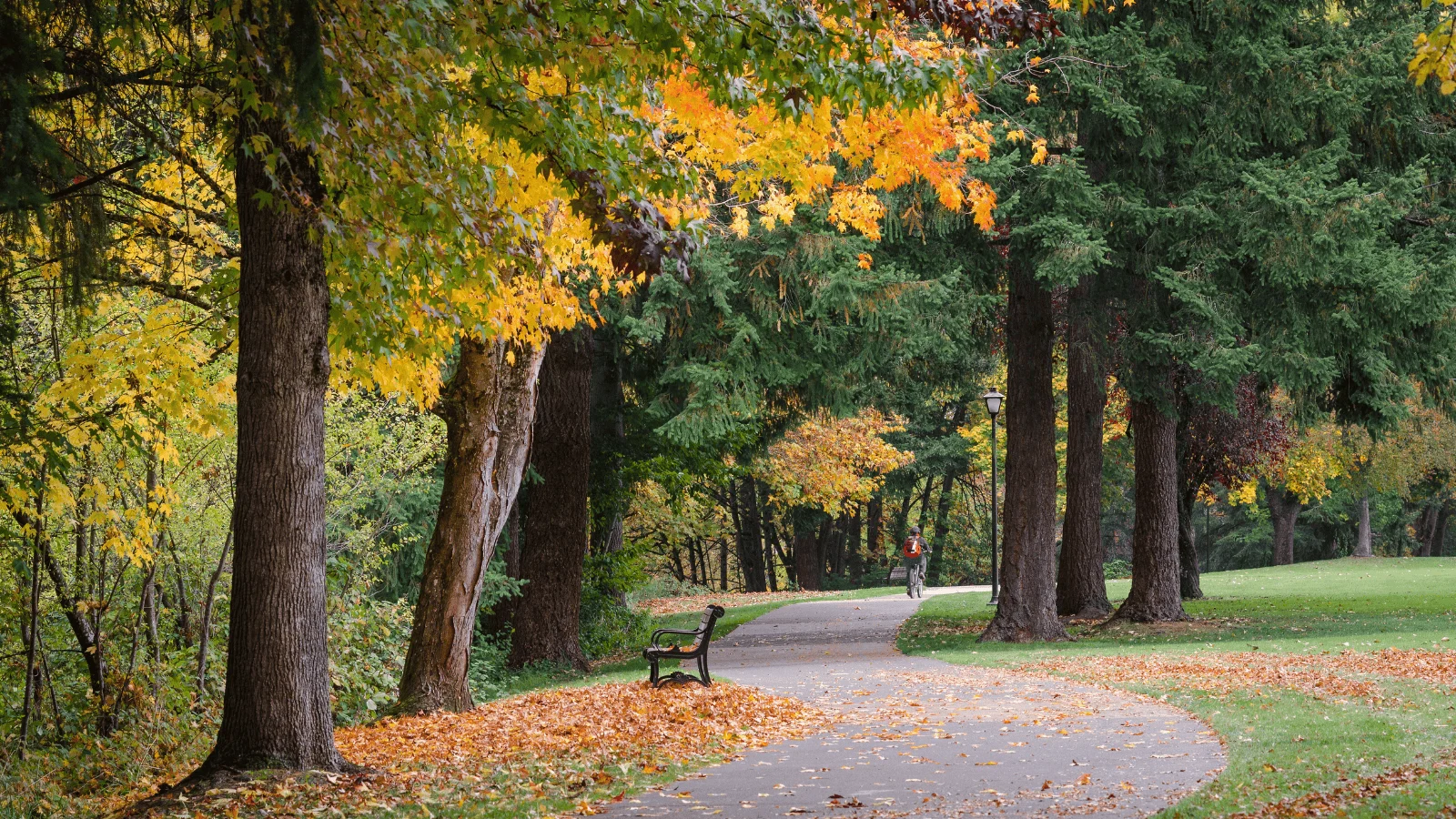 Underrated fall foliage destinations