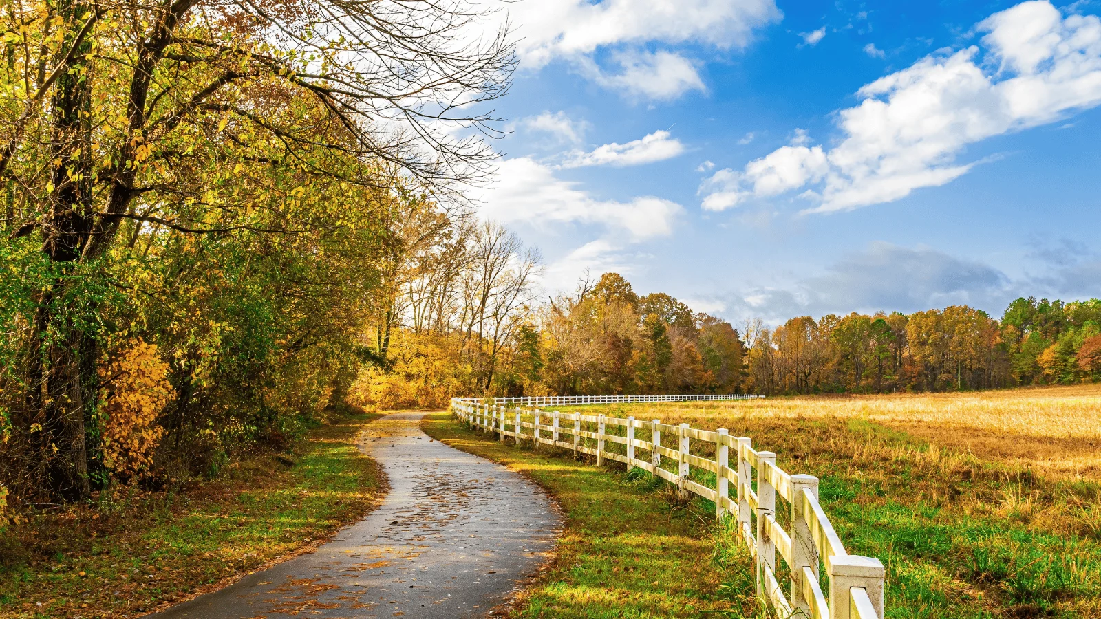 Underrated fall foliage destinations