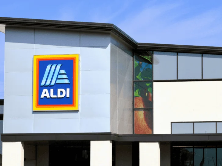 Aldi fall products, ranked