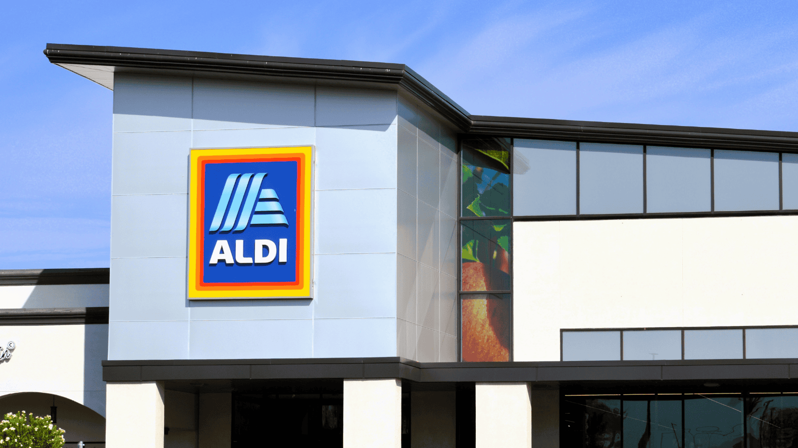 Aldi fall products, ranked