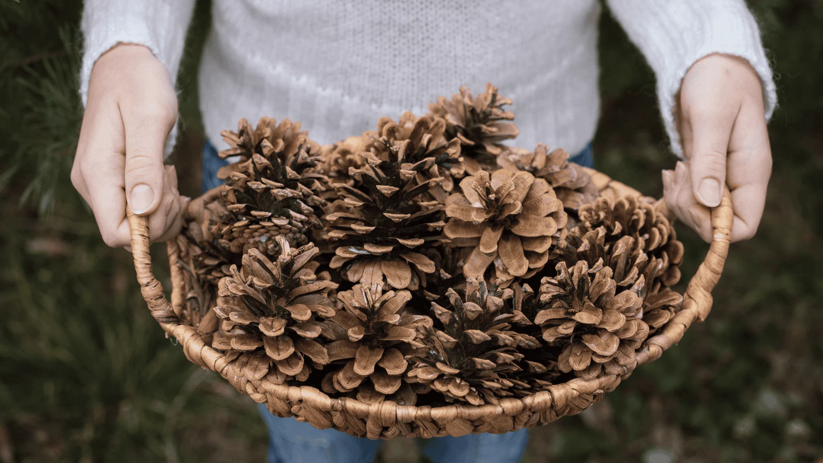 DIY Thanksgiving decor