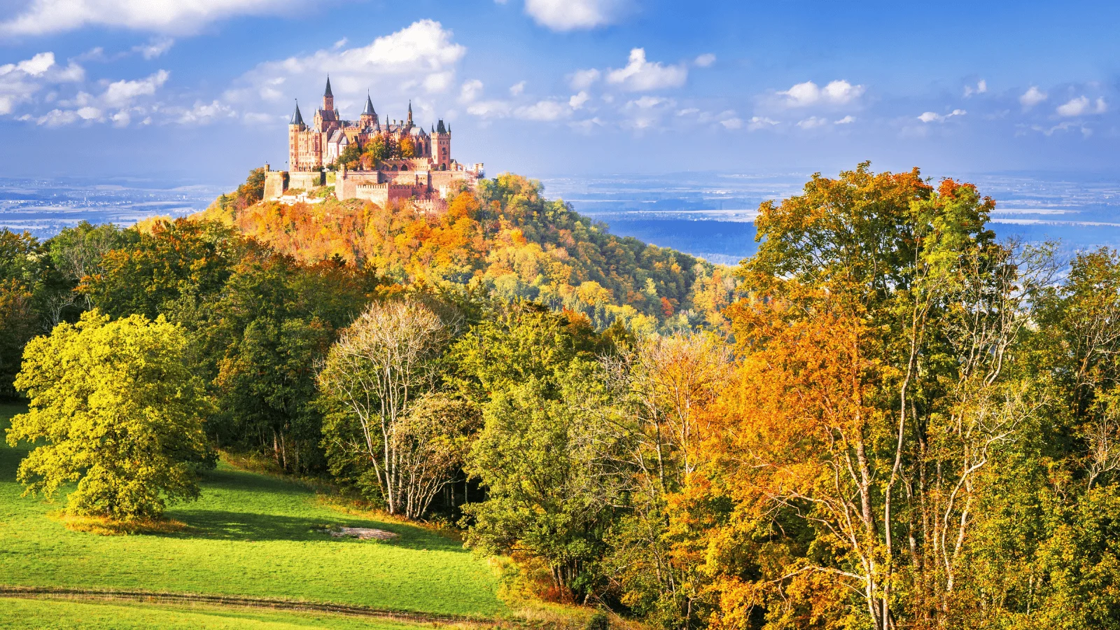 Germany's Black Forest