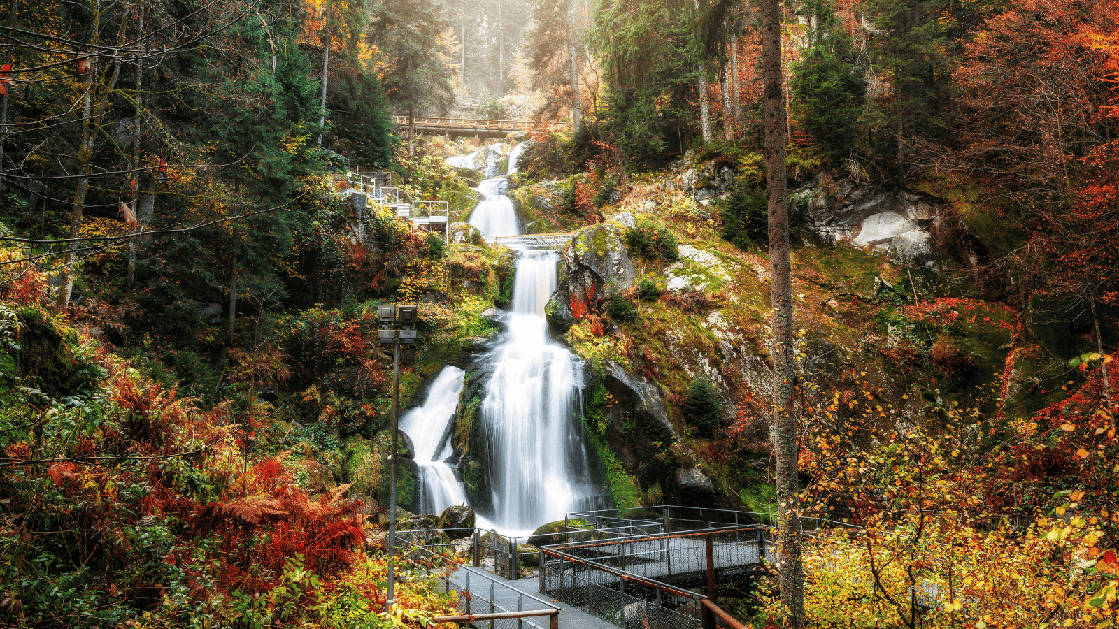 Germany's Black Forest