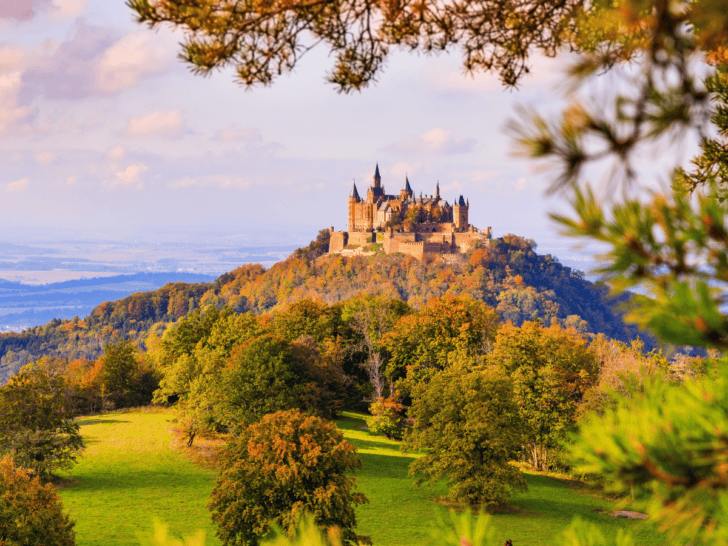 Germany's Black Forest