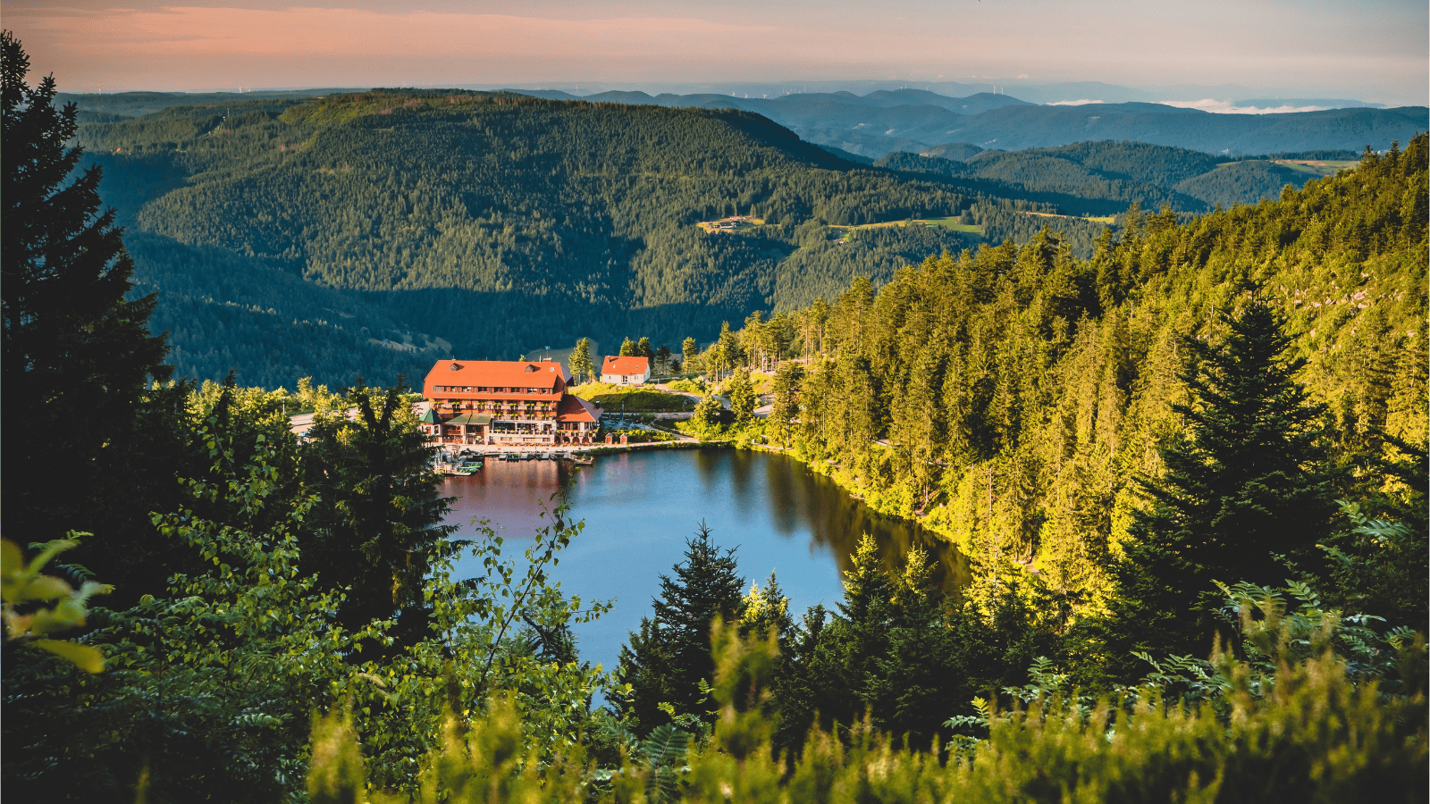 Germany's Black Forest