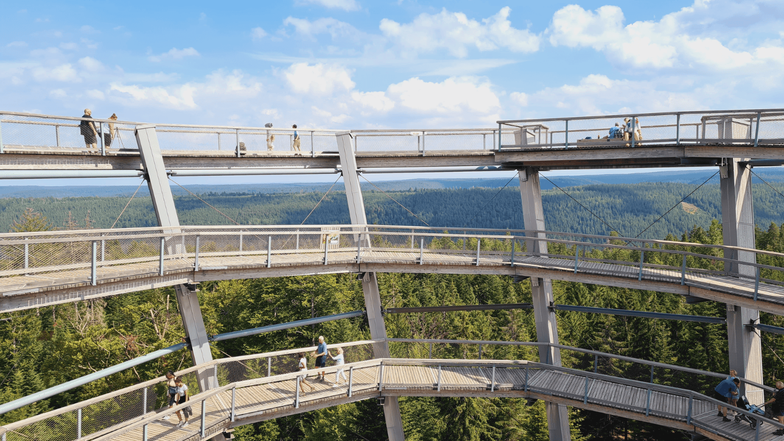 Germany's Black Forest