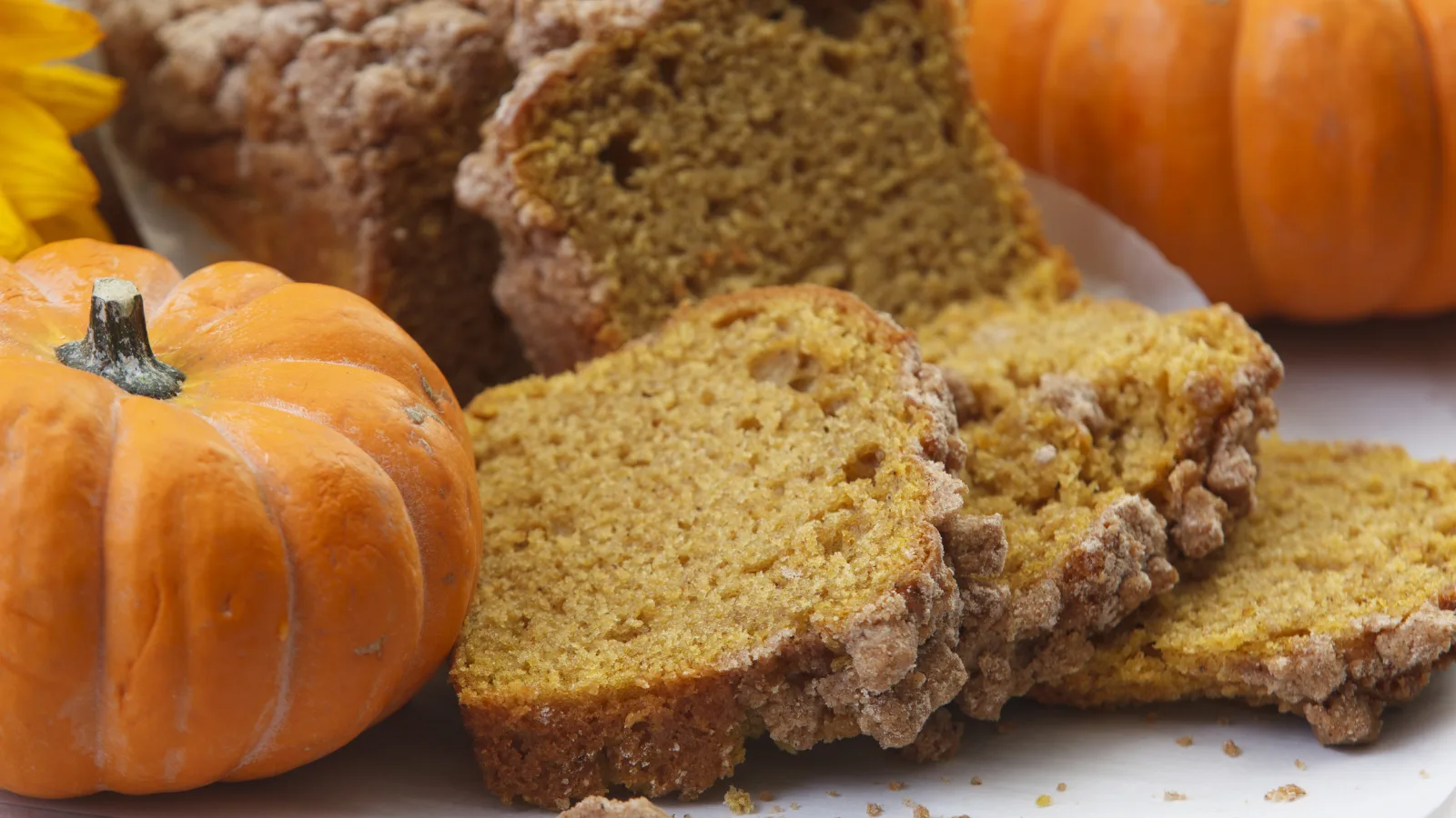 Pumpkin recipes