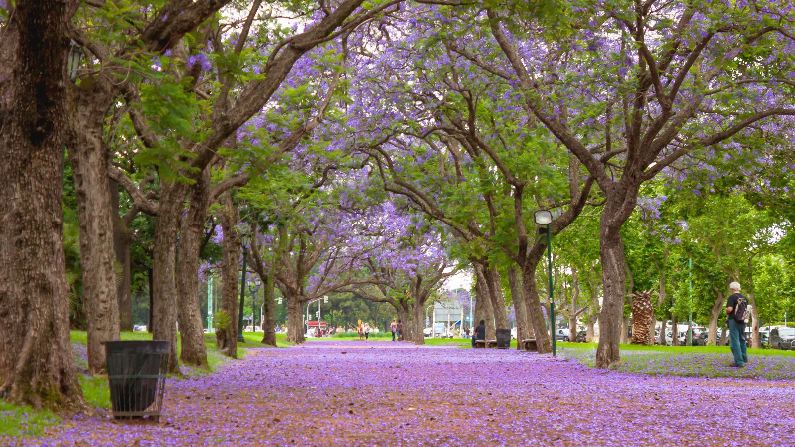 Reasons to visit Buenos Aires