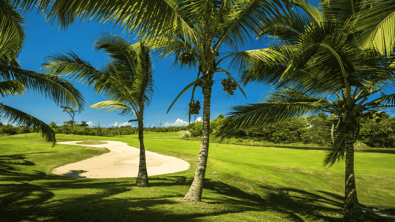 Caribbean golf getaways