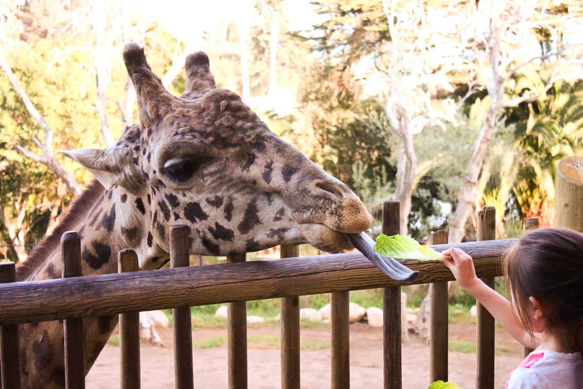 Things to do in Santa Barbara with kids, by travel blogger What The Fab