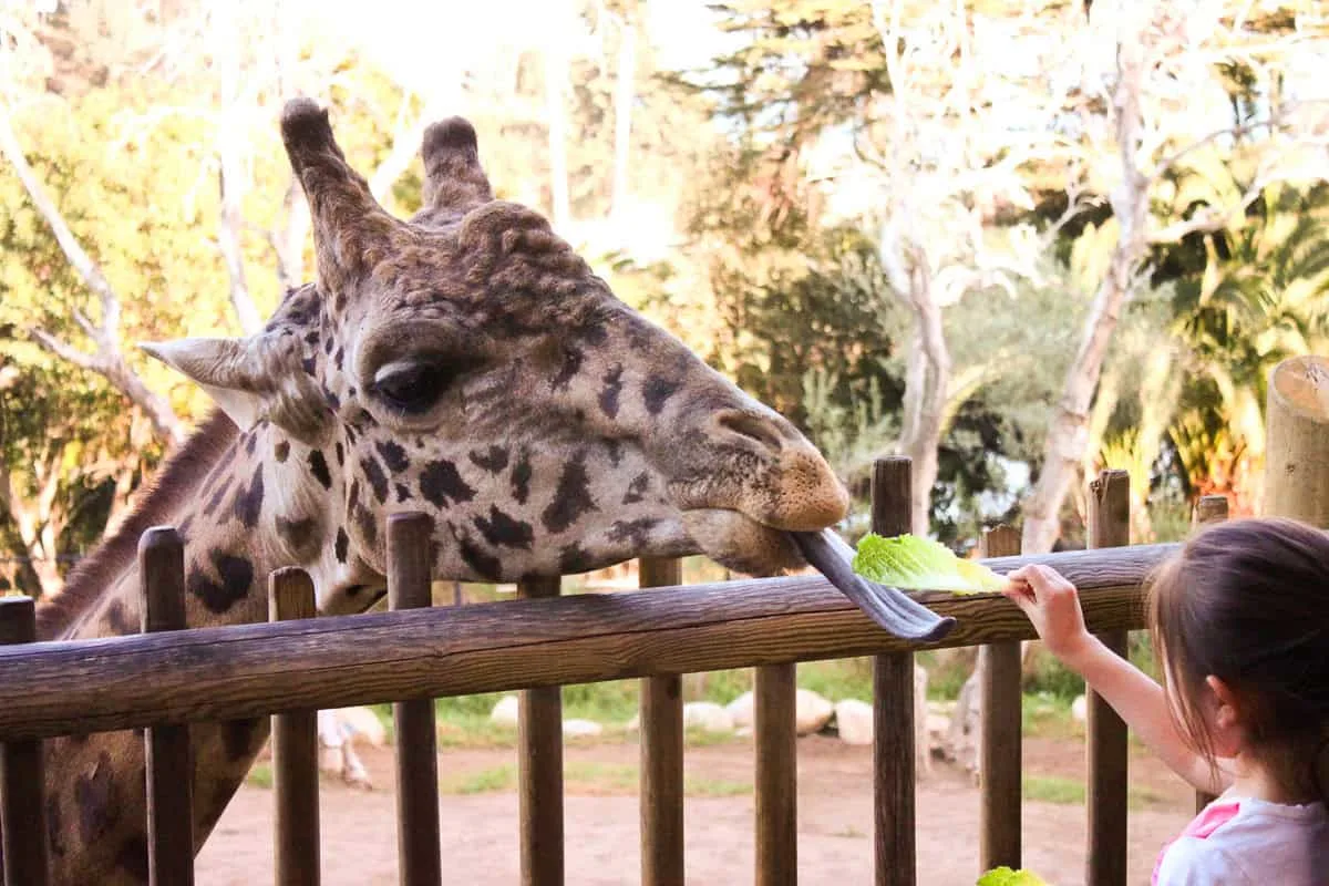 Things to do in Santa Barbara with kids, by travel blogger What The Fab