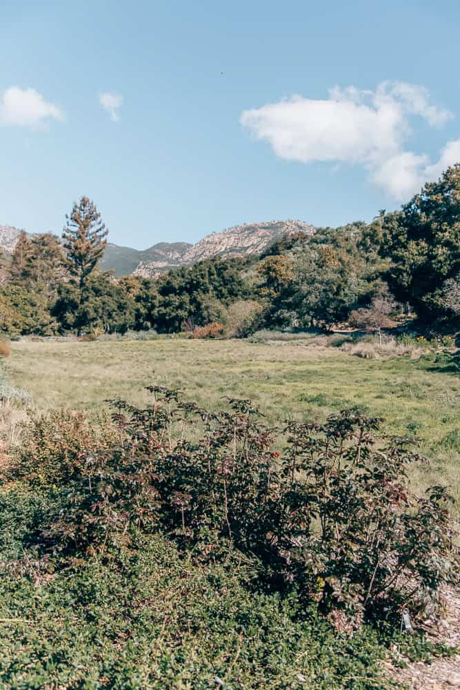 Things to do in Santa Barbara with kids, by travel blogger What The Fab