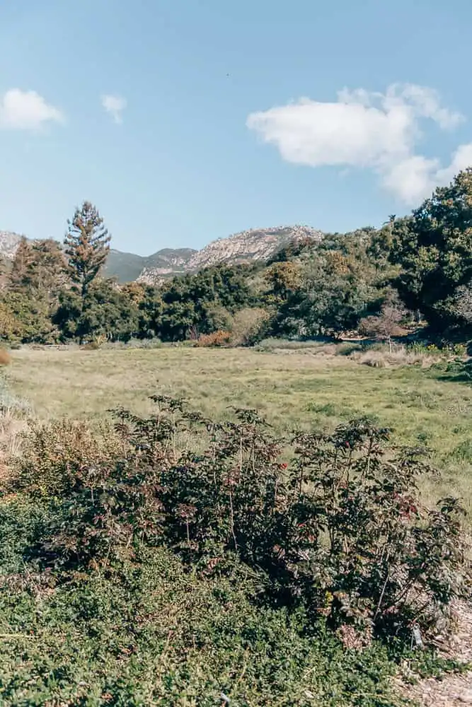 Things to do in Santa Barbara with kids, by travel blogger What The Fab