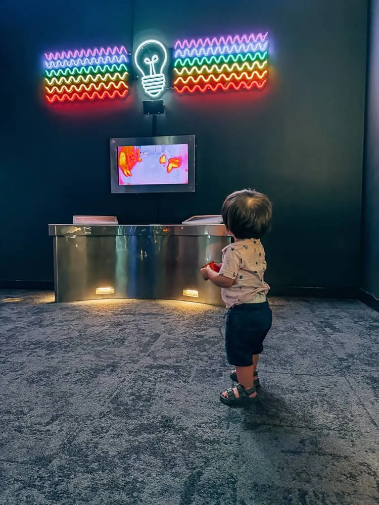 Things to do in Santa Barbara with kids, by travel blogger What The Fab