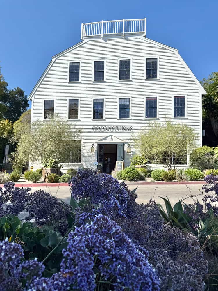 Things to do in Santa Barbara with kids, by travel blogger What The Fab