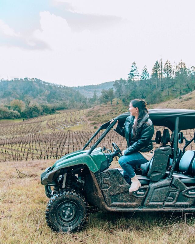 Had such a fun time going on a vineyard safari at @ehretfamilywinery’s stunning estate! 

Their wines are incredible & you can stop by their tasting room in downtown Healdsburg to try them. Their cabs, zin, and merlot were my favs…which I know doesn’t help narrow things down a lot lol but they’re all just so good! Rich, deep, and bold, while still being velvety smooth, just like I like my reds. 🍷

#sonoma #sonomacounty #sonomavalley #sonomawine #sonomawinecountry #sonomawines #sonomawinery