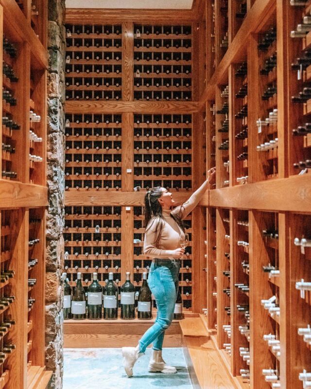 Just taking my pick from Bill Foley’s private collection! 😜 

Jk, but we did get a tour at @chalkhillestate which was v fun. And we enjoyed their Chardonnay + caviar pairing which was absolutely lovely. The perfect way to enjoy their bright and balanced Chards paired with a little luxury. 👌🏼

#sonoma #sonomacounty #sonomavalley #sonomawine #sonomavalleywine #winetasting #winetastings