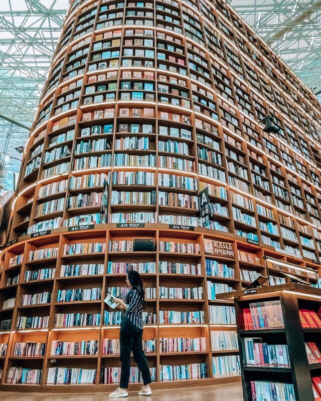 📚📚📚

Prettiest library I’ve ever seen. But also wondering how they stock the books up top. 🤔