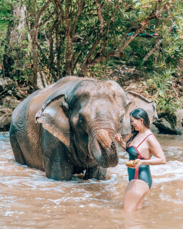 File this one under: Bucket list experiences. 😍🥰🐘