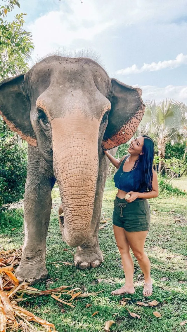 One of the most epic experiences!! 🐘🐘🐘

You can book incredible experiences like this one through @getyourguide. We love booking through GetYourGuide when we’re abroad because we don’t have to worry about language barriers or miscommunication. Plus it’s so easy on the app! 

@getyourguidecommunity #getyourguidecomunity